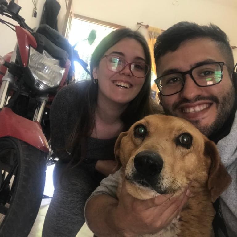 perro adoptado