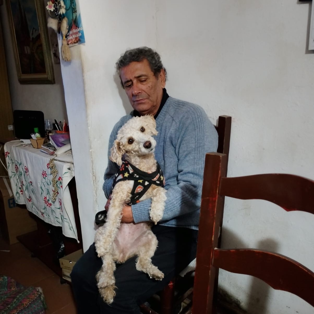 perro adoptado
