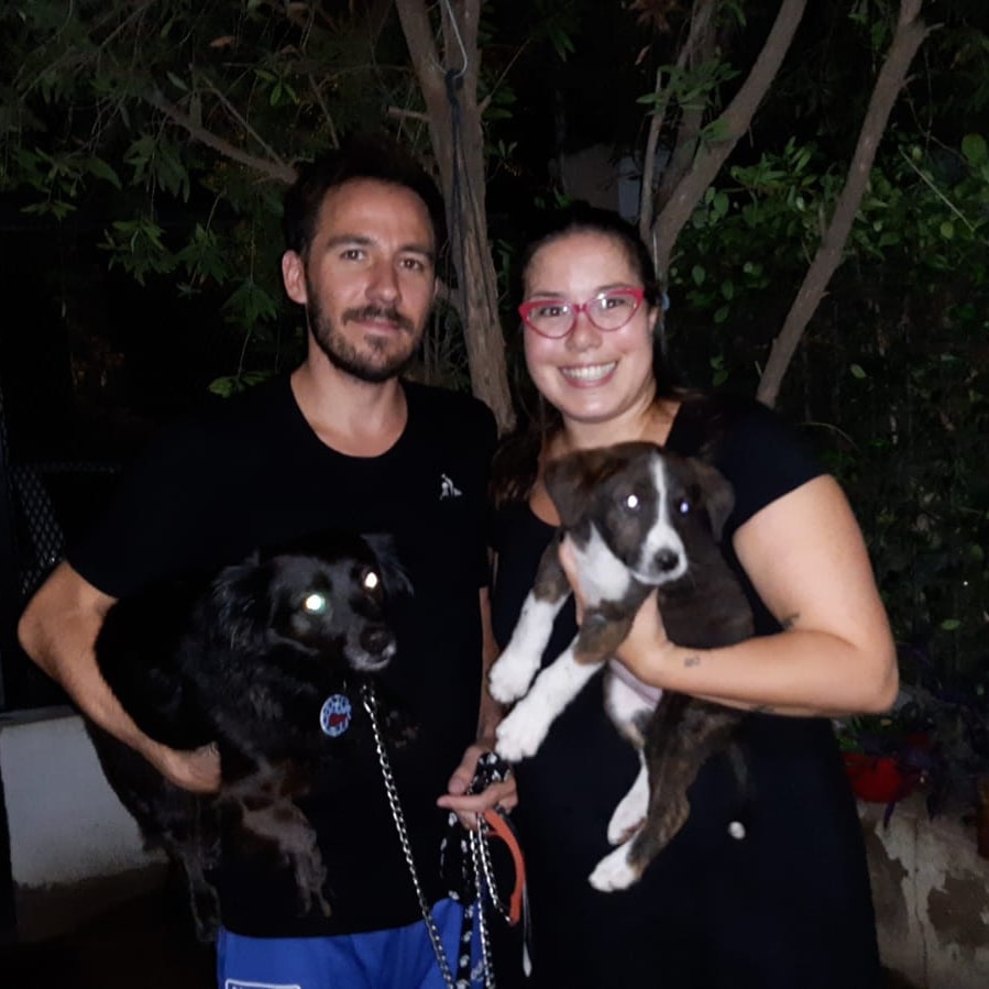 perro adoptado