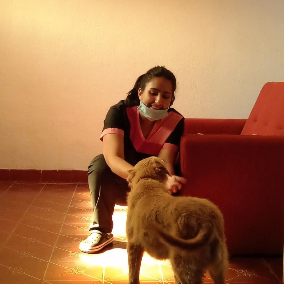 perro adoptado