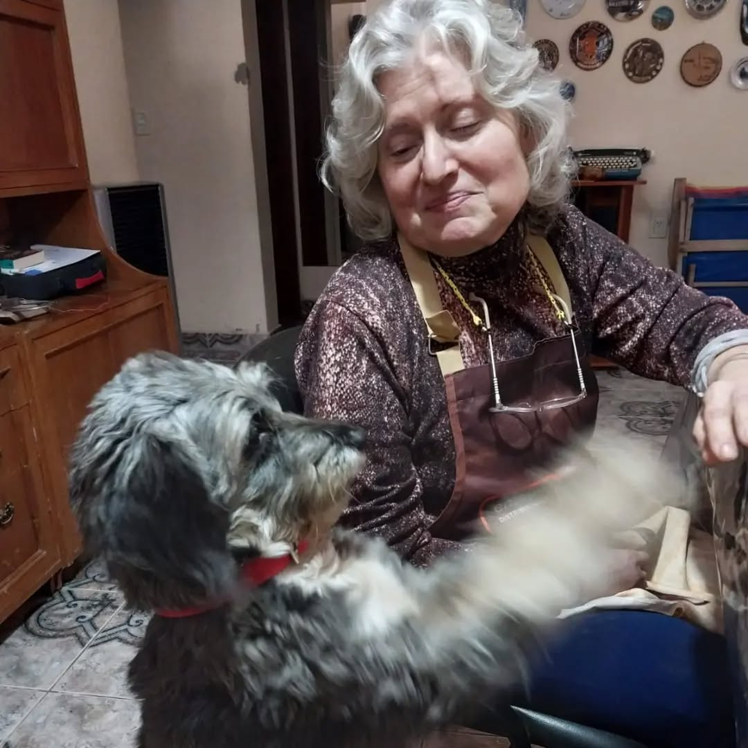 perro adoptado