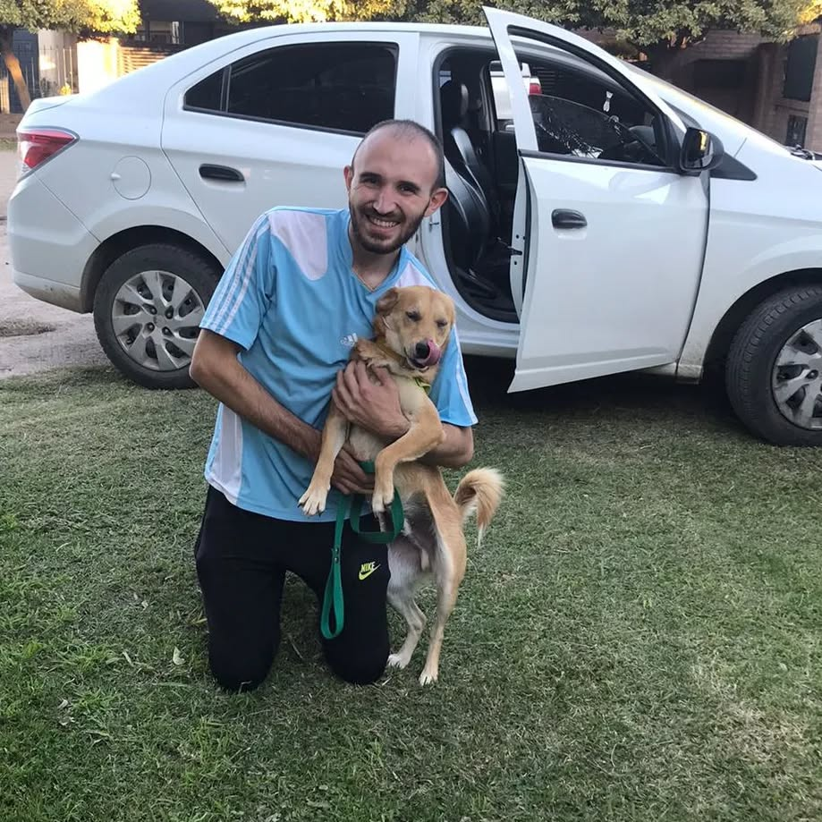 perro adoptado