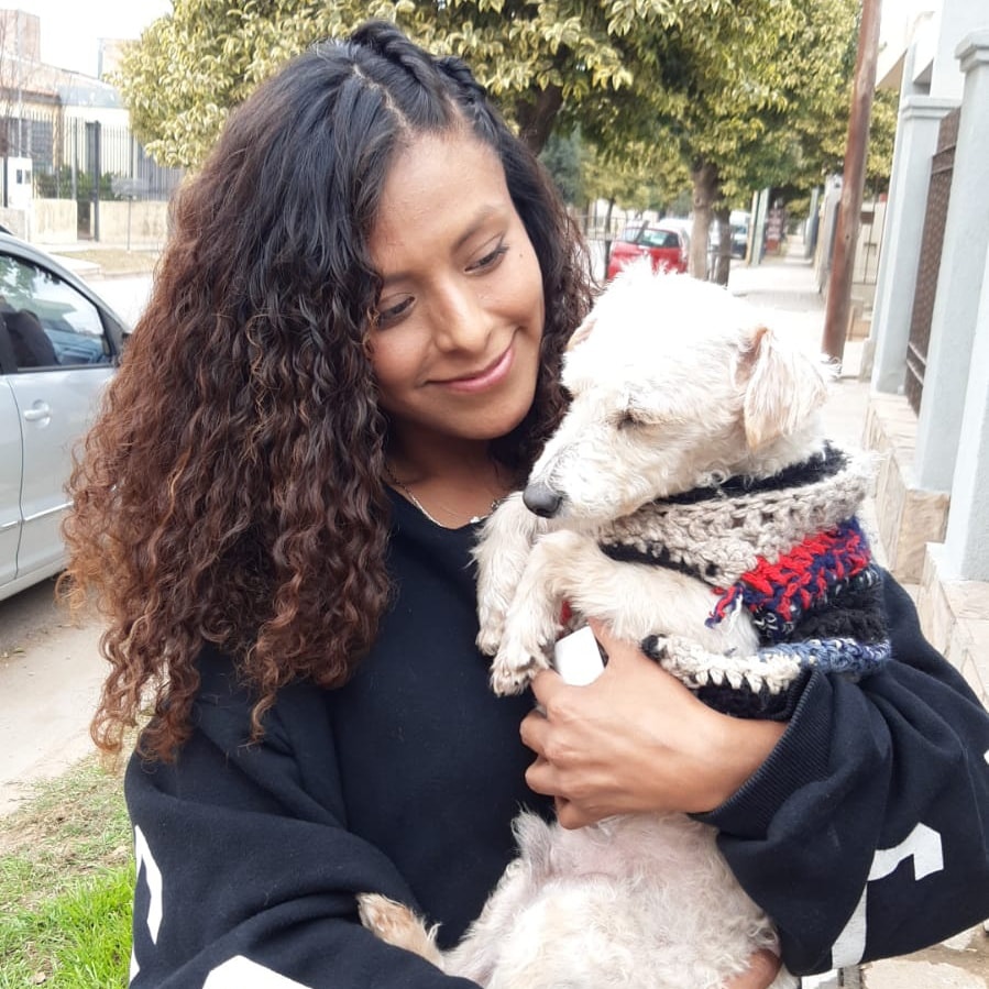 perro adoptado