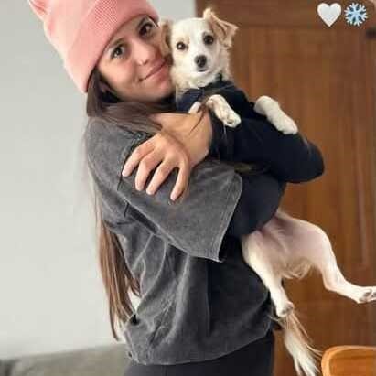 perro adoptado