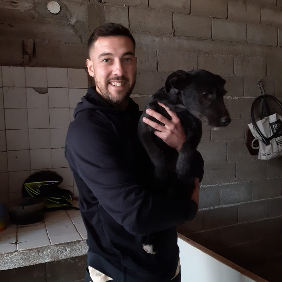 perro adoptado